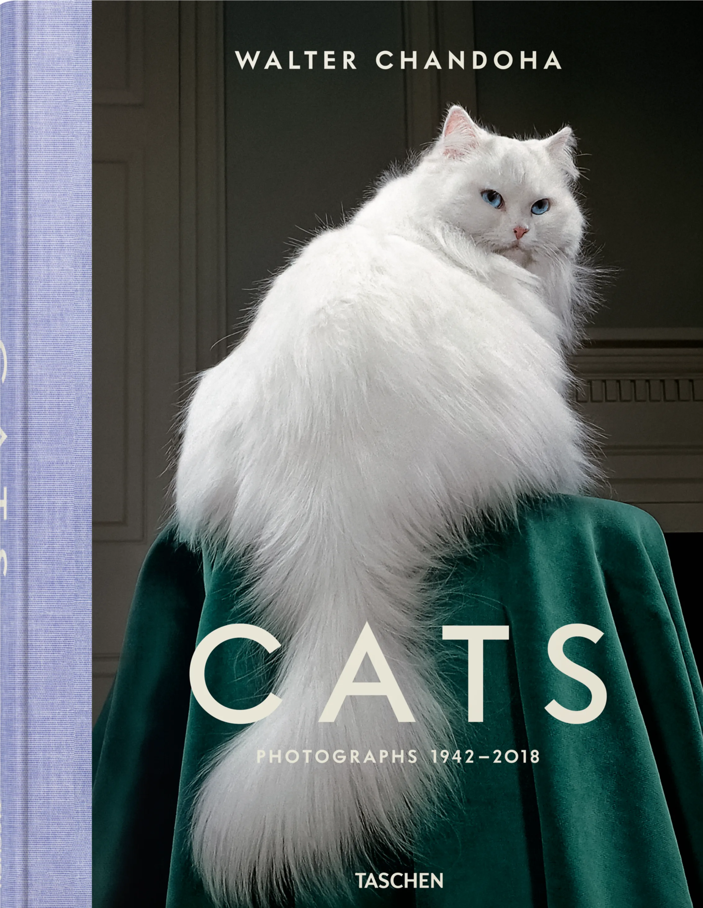 Walter Chandoha. Cats. Photographs 1942–2018