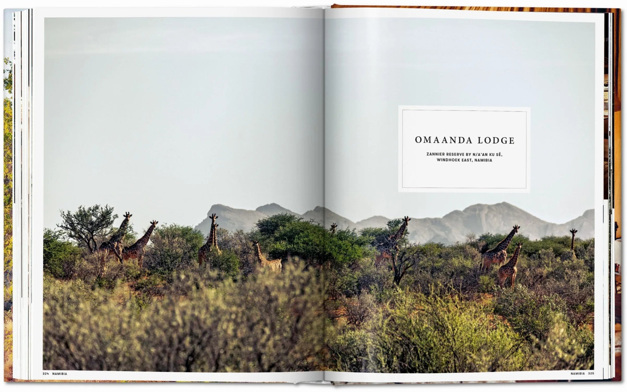 Great Escapes Africa. The Hotel Book