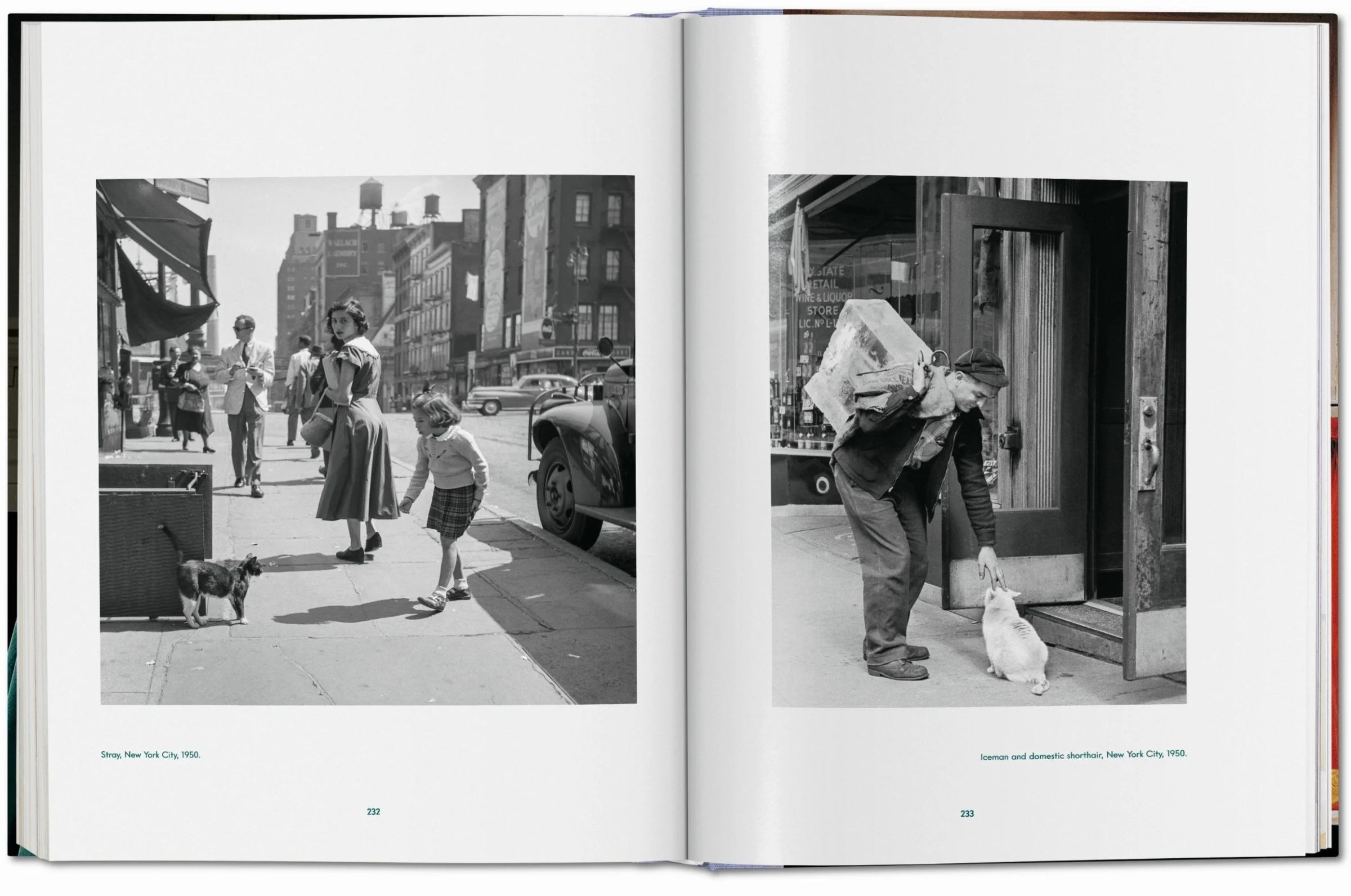 Walter Chandoha. Cats. Photographs 1942–2018