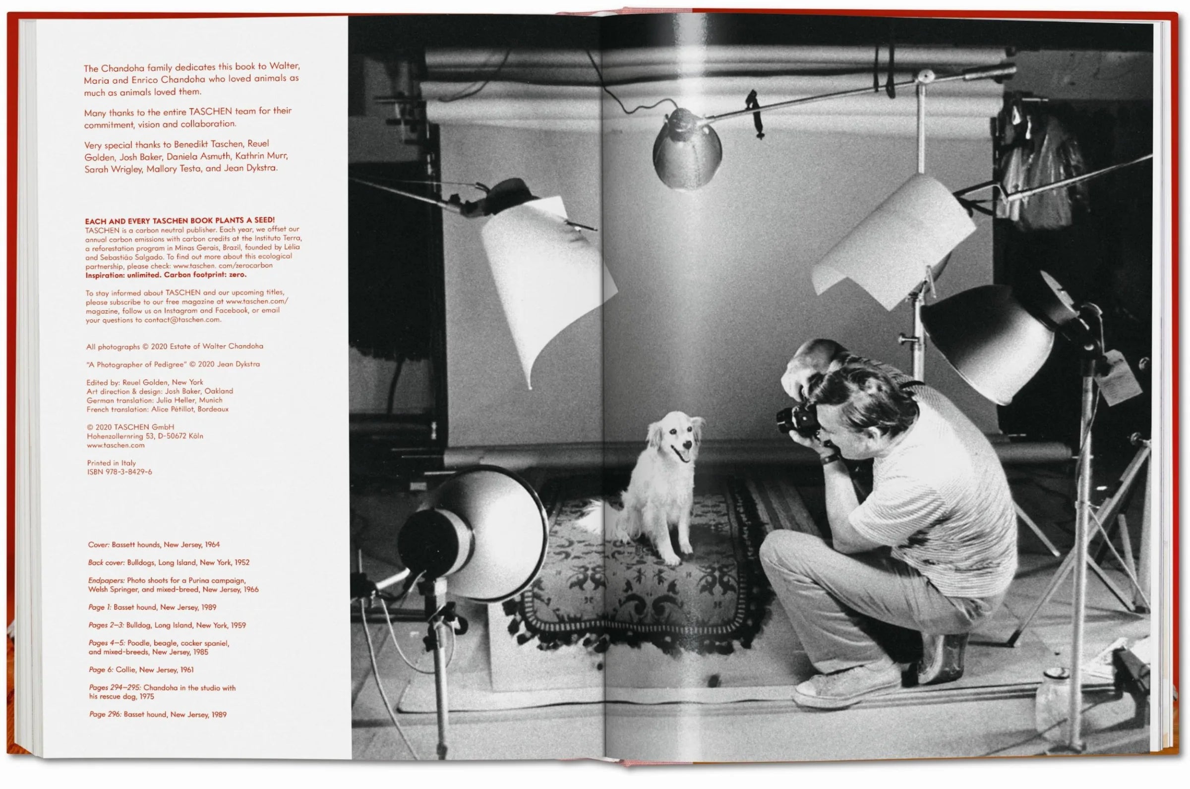 Walter Chandoha. Dogs. Photographs 1941–1991