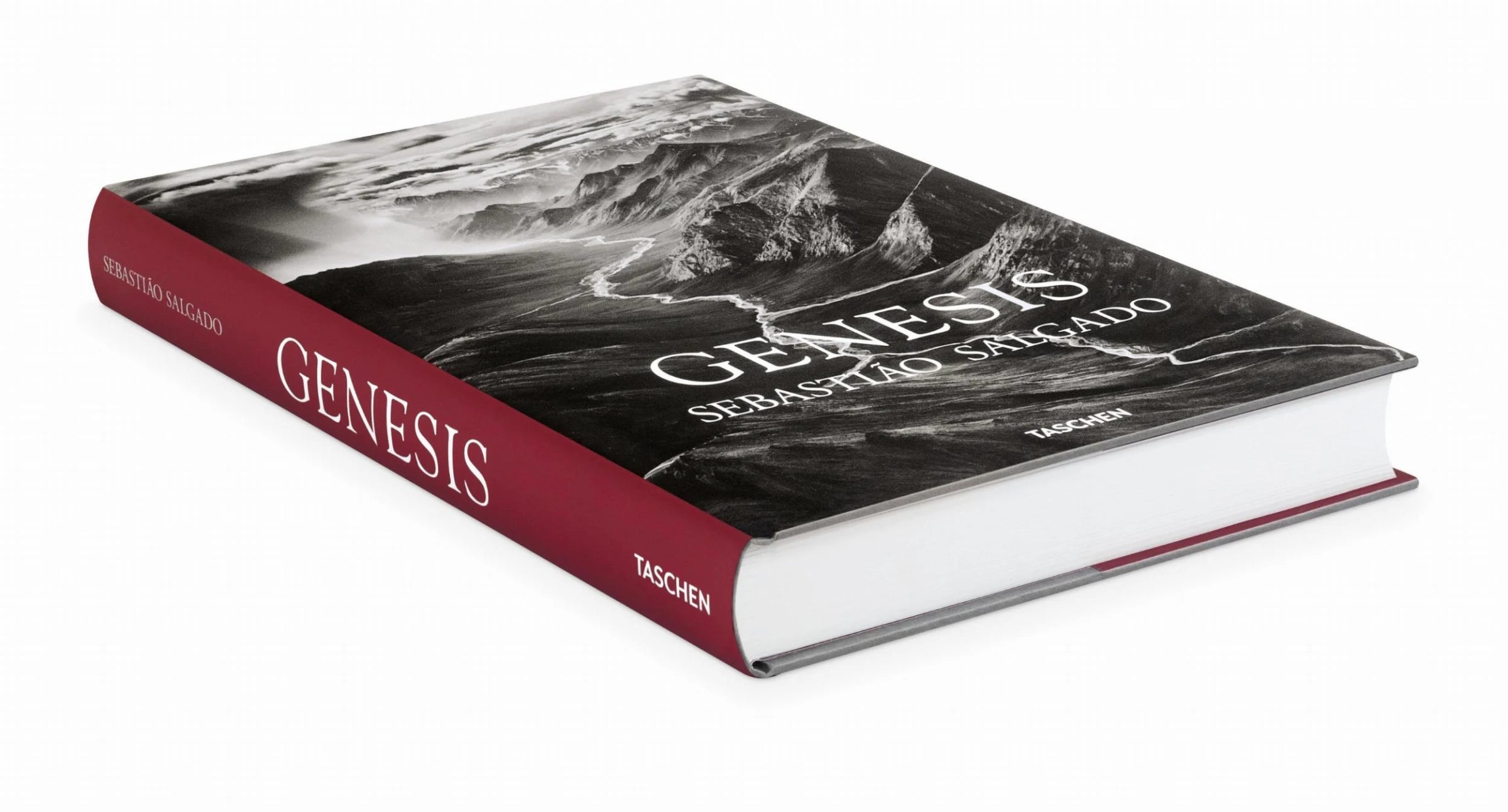 Sebastião Salgado. Genesis