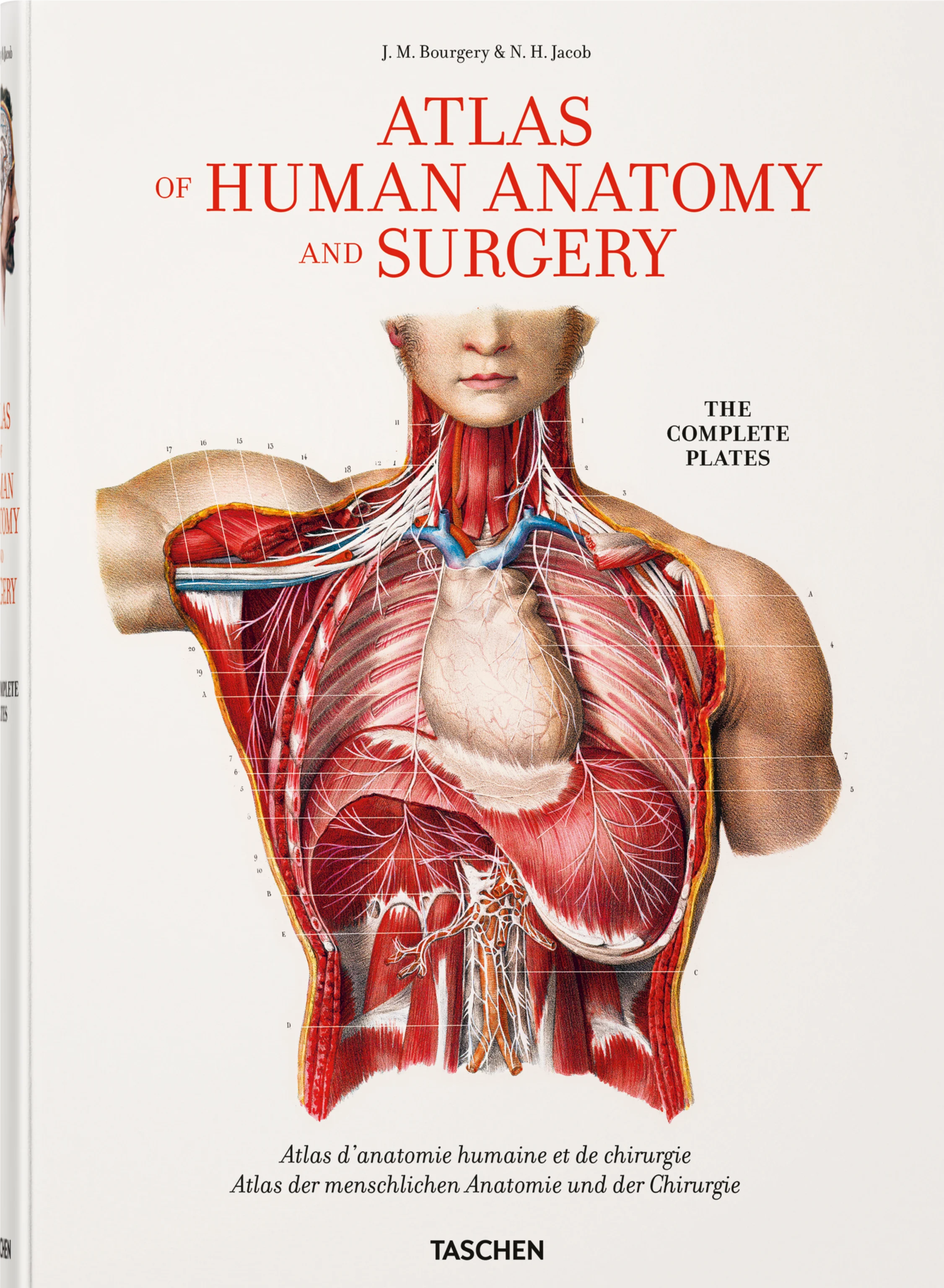 Bourgery. Atlas of Human Anatomy and Surgery