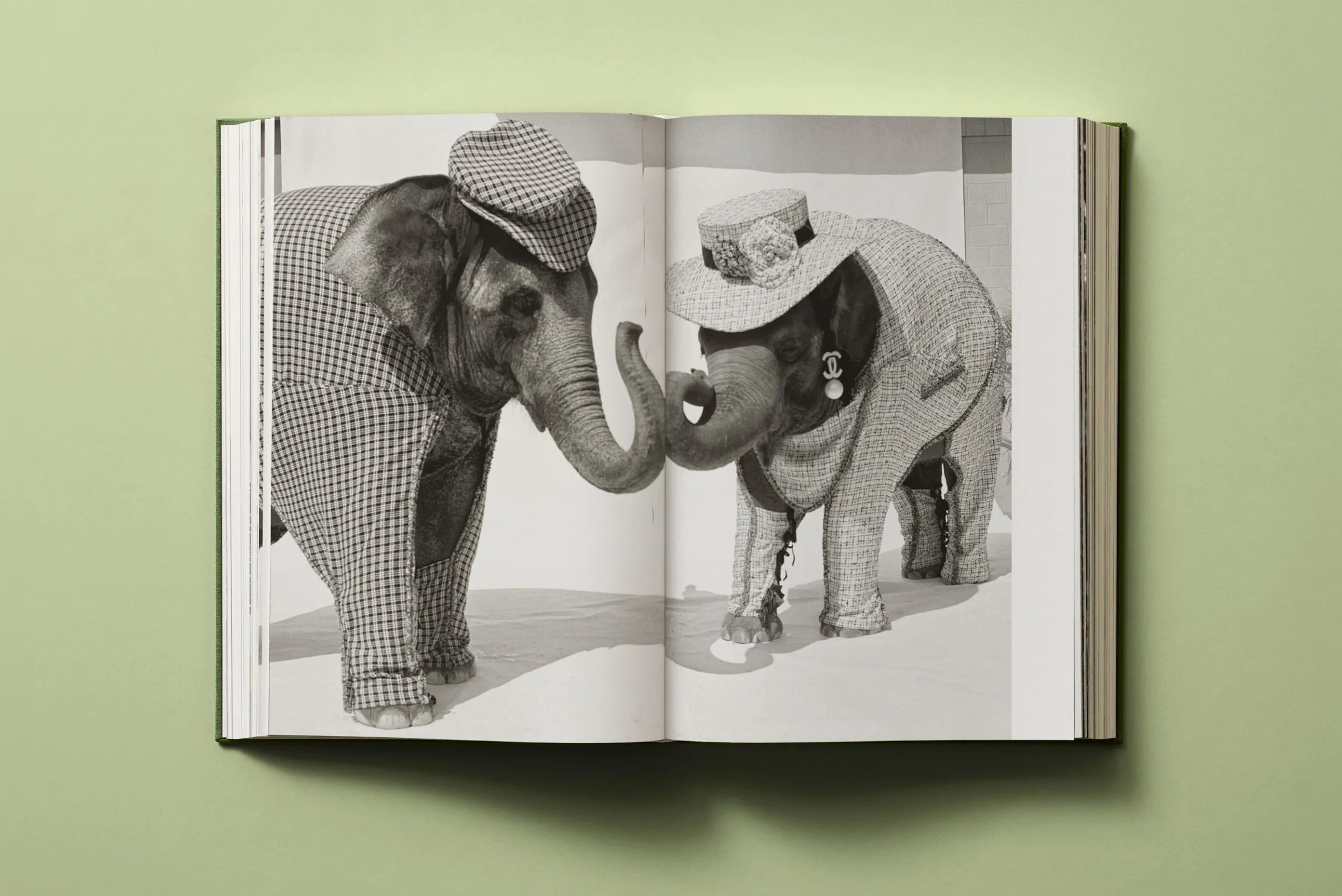 Bruce Weber. My Education