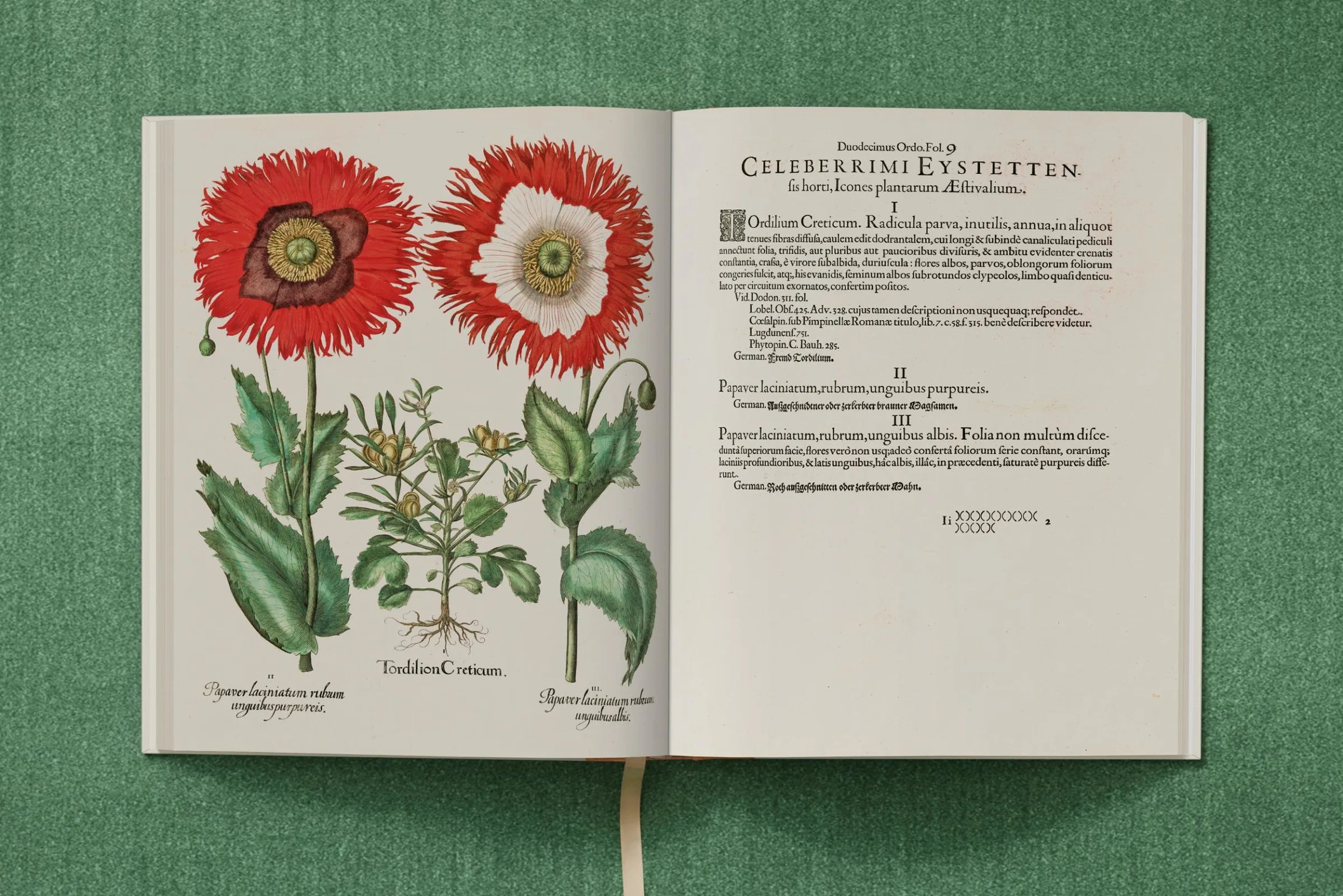 Basilius Besler. The Garden at Eichstätt