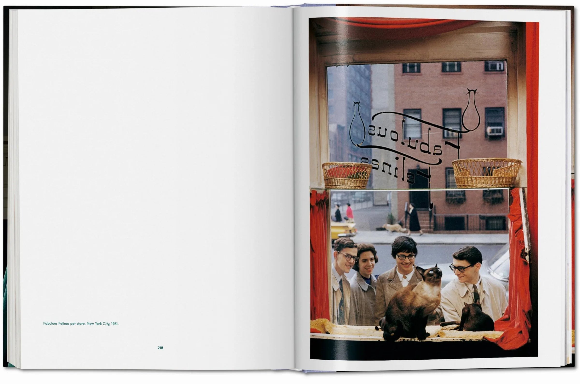 Walter Chandoha. Cats. Photographs 1942–2018