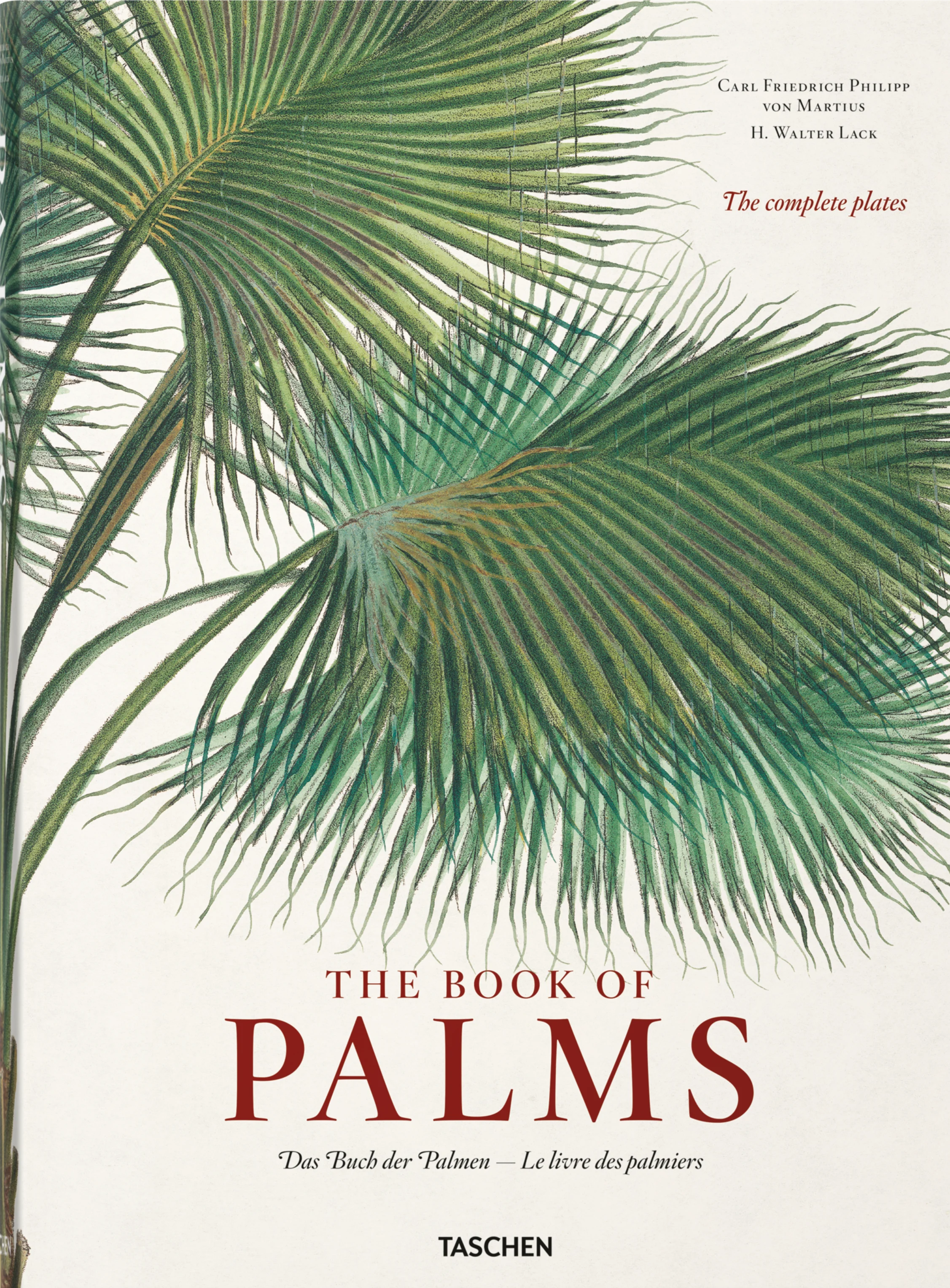 Martius. The Book of Palms