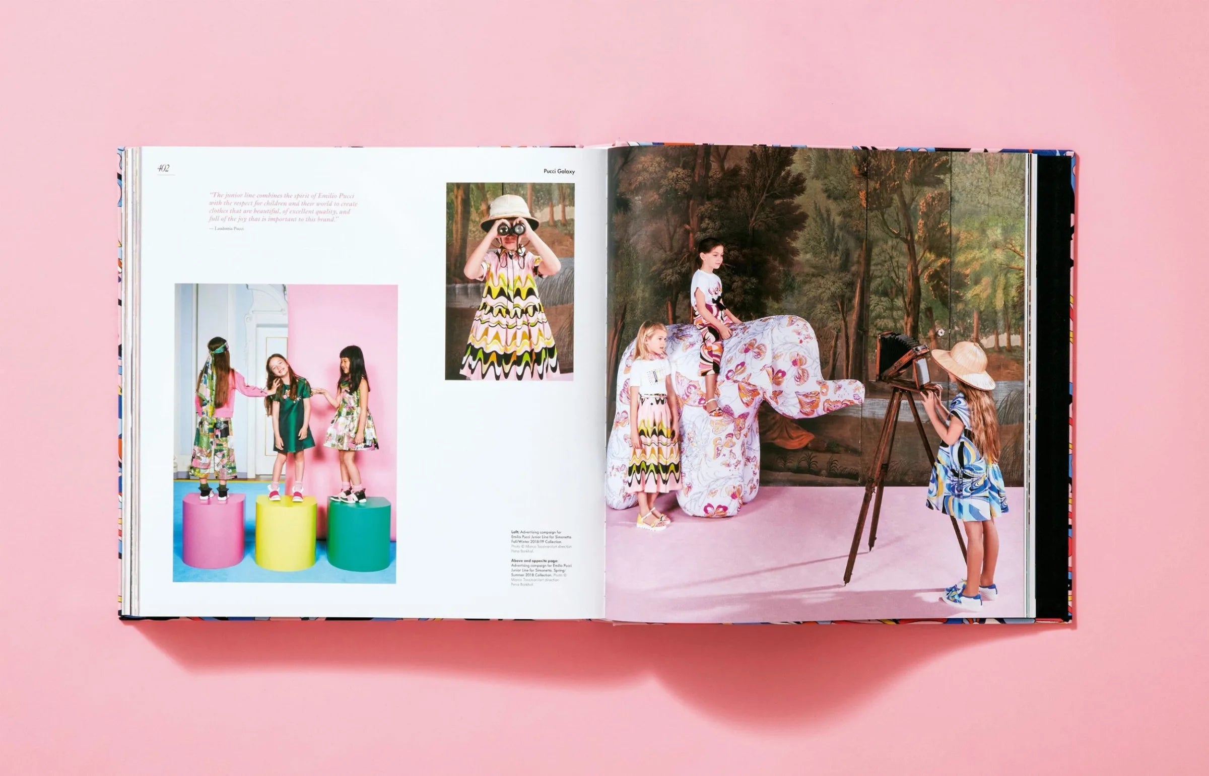 Pucci. Updated Edition