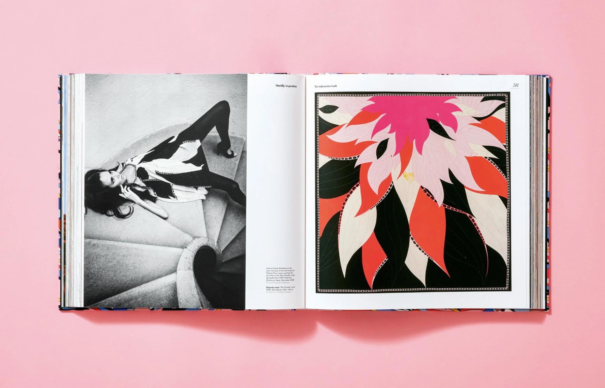 Pucci. Updated Edition