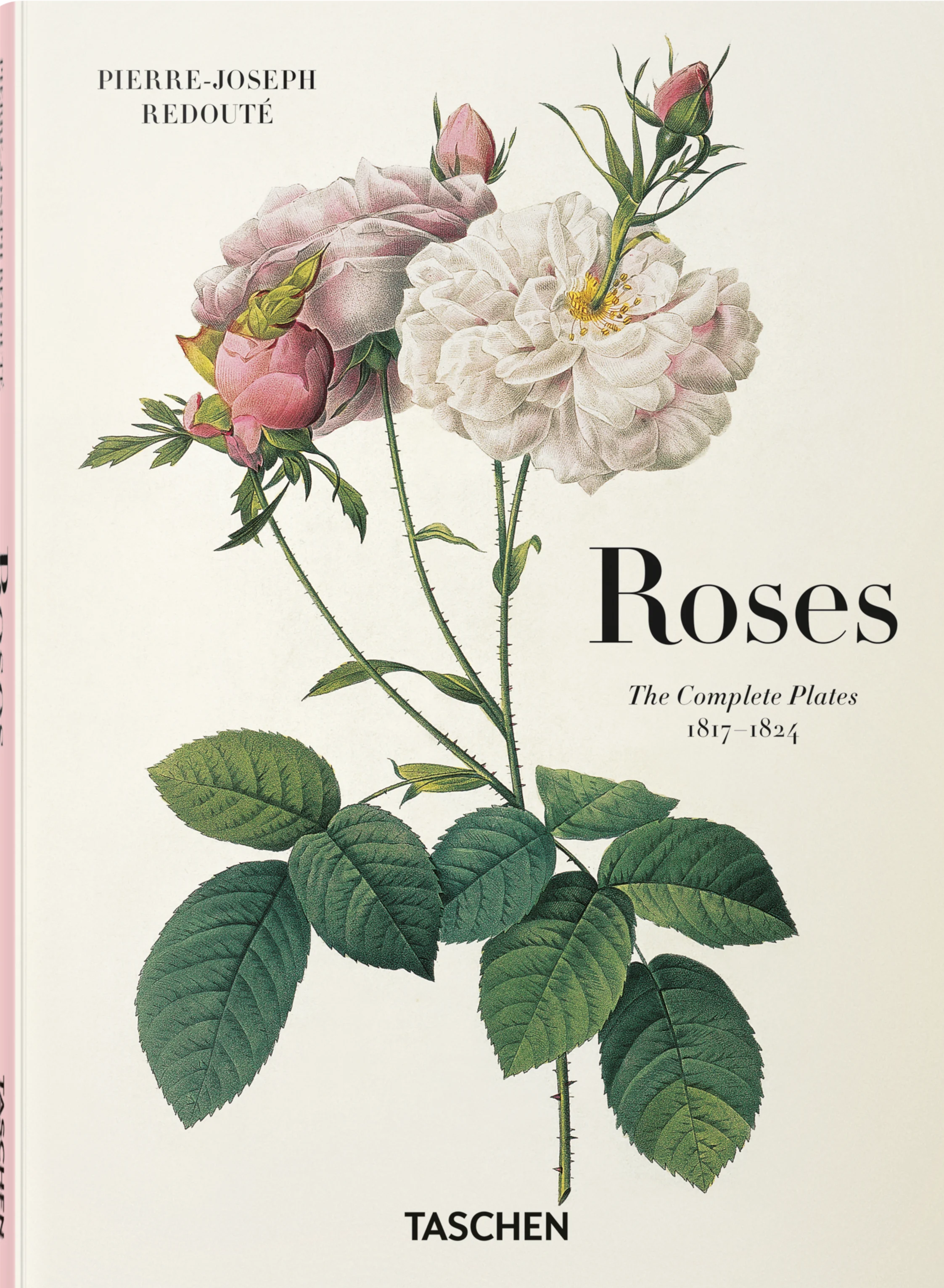 Redouté. Roses