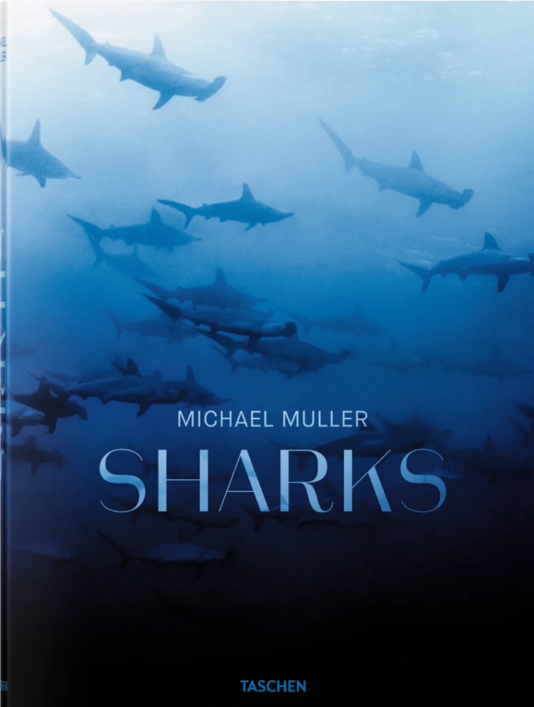 Michael Muller. Sharks. XL